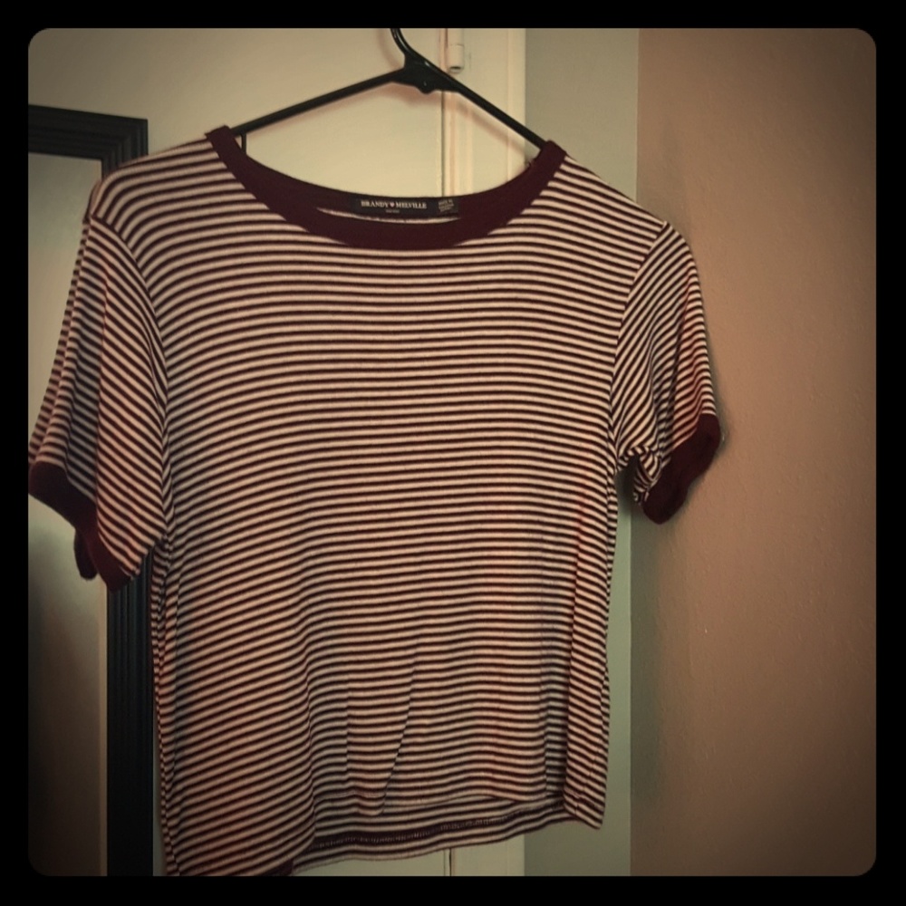 Brandy Melville Crop Top